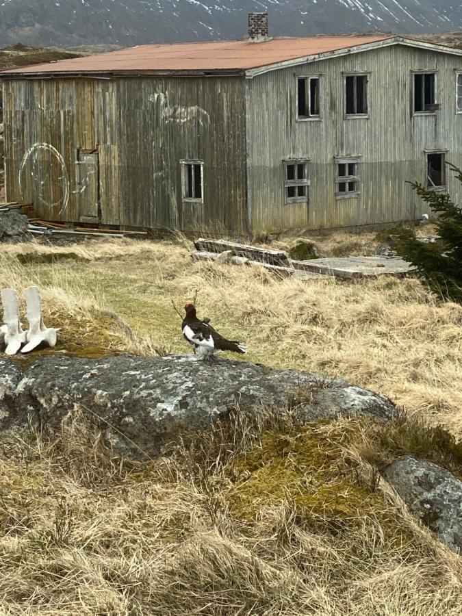 Villa Borgvag - A Unique Seafront Villa In The Heart Of Lofoten Bostad Екстериор снимка